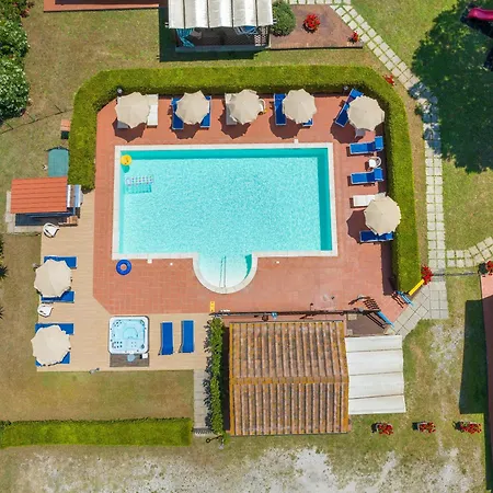 Il Pino - Olivo *