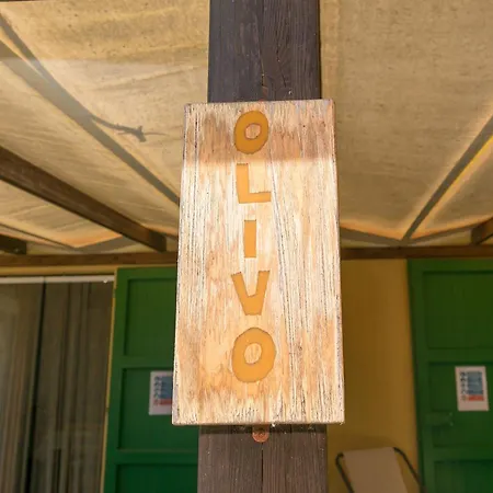 Il Pino - Olivo