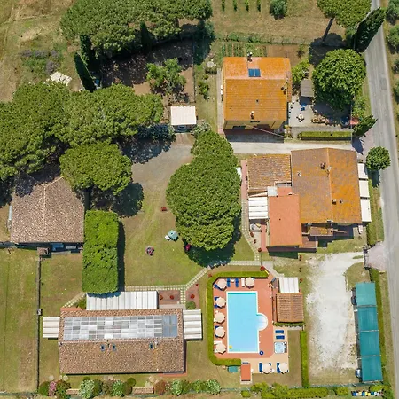 Farma Il Pino - Olivo