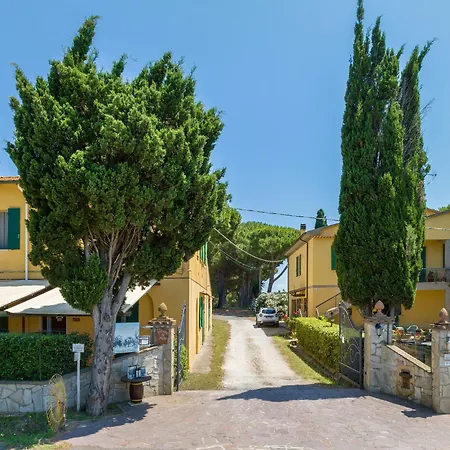 Il Pino - Olivo Farma