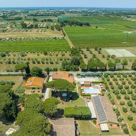 Farm stay Il Pino - Olivo