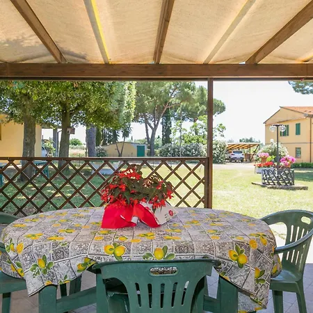 Il Pino - Olivo Farm stay Cecina (Livorno)
