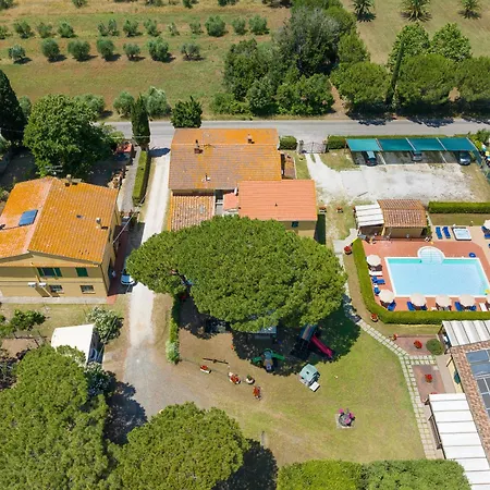 Il Pino - Olivo Cecina (Livorno)